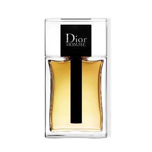 Dior Homme 2020